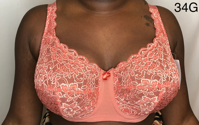 Elila Stretch Lace Cheeky Panty in Coral - Busted Bra Shop